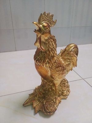 Gà đồng dát vàng 9999. Mua bán Gà tại Quận Gò Vấp Tp Hồ Chí Minh được đăng bởi Đức Minh