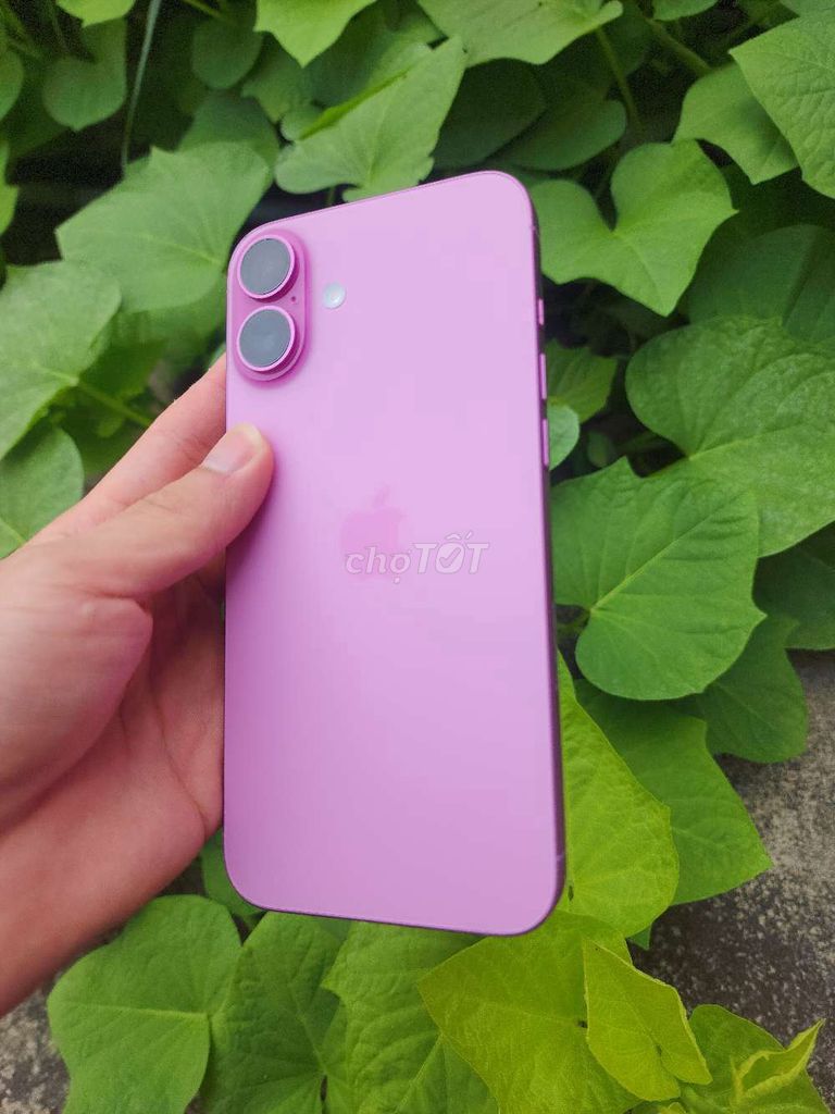 iPhone 16 Plus Lock 128GB Hồng 99% cnc sẵn. Mua bán Điện thoại tại Huyện An Dương Hải Phòng được đăng bởi Hùng hình 1