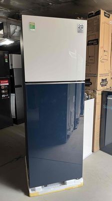 Tủ lạnh Samsung Inverter 305 lít RT31CB56248 2023