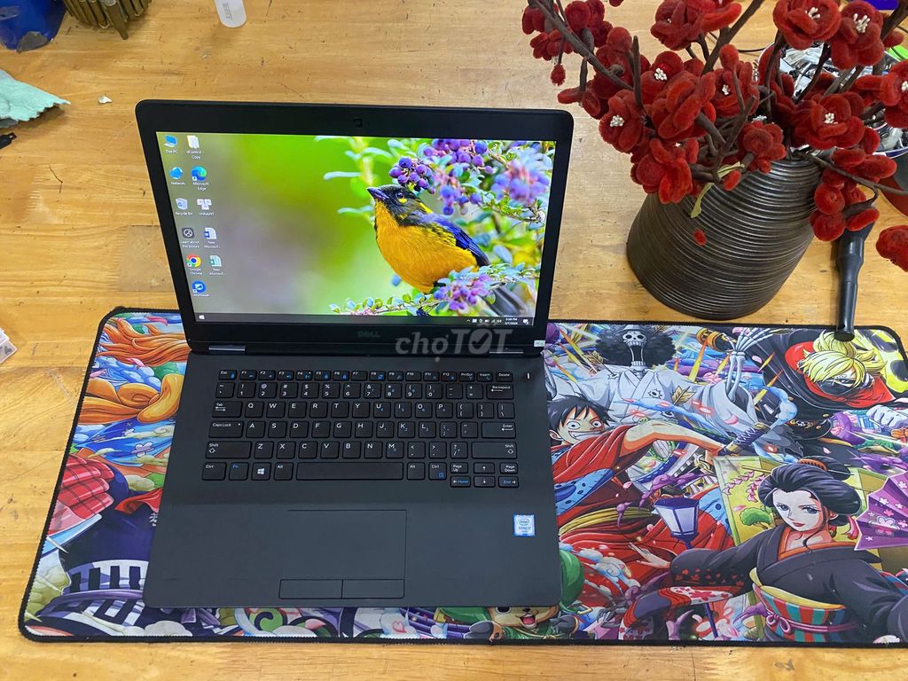 Dell Latitude E7470 i7-6600U 14.1 inch 8GB/256GB. Mua bán Laptop tại Thành phố Buôn Ma Thuột Đắk Lắk được đăng bởi Vi Tính Tây Nguyên hình 1