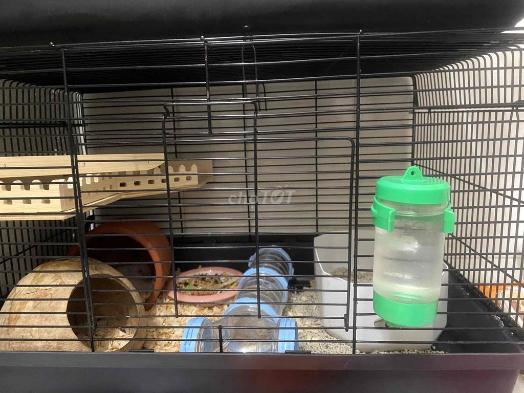 Lồng 47x30 (tặng 2 hamster con). Mua bán Phụ kiện, Thức ăn, Dịch vụ tại Quận 7 Tp Hồ Chí Minh được đăng bởi Ngọc hình 1