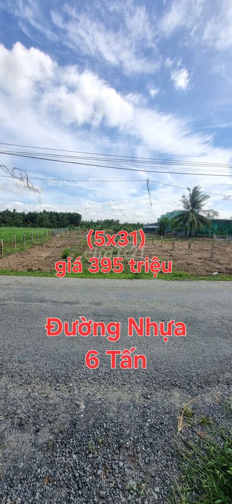 Đất Fo đường nhựa 6 Tấn 5x31 gần Quốc Lộ 50.. Bình Phan Chợ Gạo cũ 