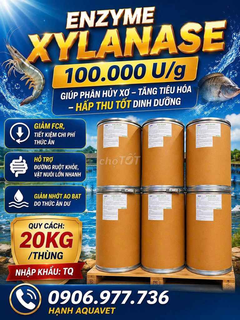 ENZYME XYLANASE Giúp phân hủy xơ – tăng tiêu hóa. Mua bán Đồ chuyên dụng, Giống nuôi trồng tại Huyện Đức Hòa Long An được đăng bởi Ms Hạnh  hình 1