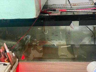 thanh lý hồ cá. Mua bán Phụ kiện, Thức ăn, Dịch vụ tại Quận Bình Tân Tp Hồ Chí Minh được đăng bởi Bet Robi