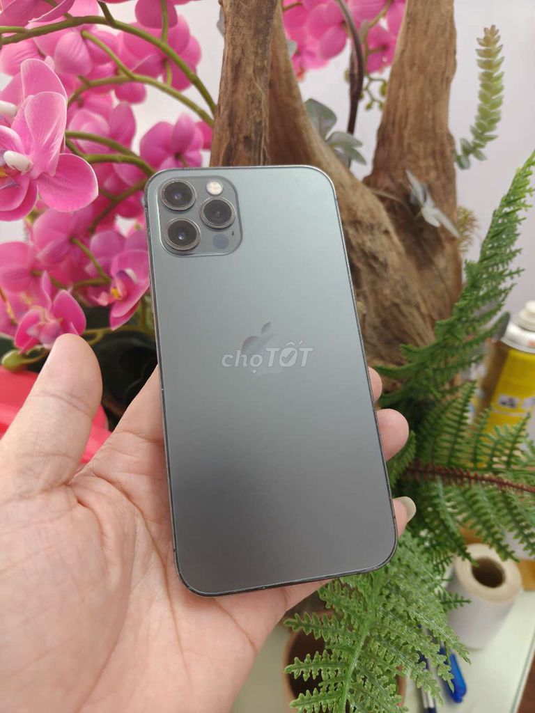 Apple iPhone 12 Pro quốc tế . Mua bán Điện thoại tại Thành phố Buôn Ma Thuột Đắk Lắk được đăng bởi Tèo Điện Thoại  hình 1