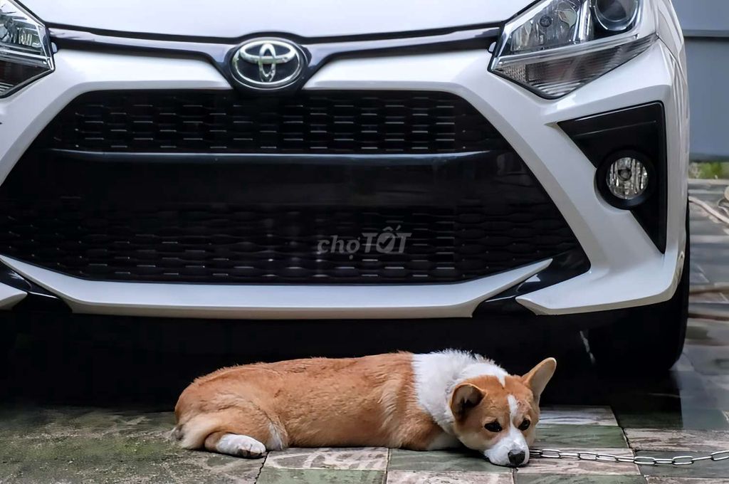 xe Toyota Wigo 1.2AT 2020. Mua bán Ô tô tại Thành phố Thủ Đức Tp Hồ Chí Minh được đăng bởi Quang Thang hình 1