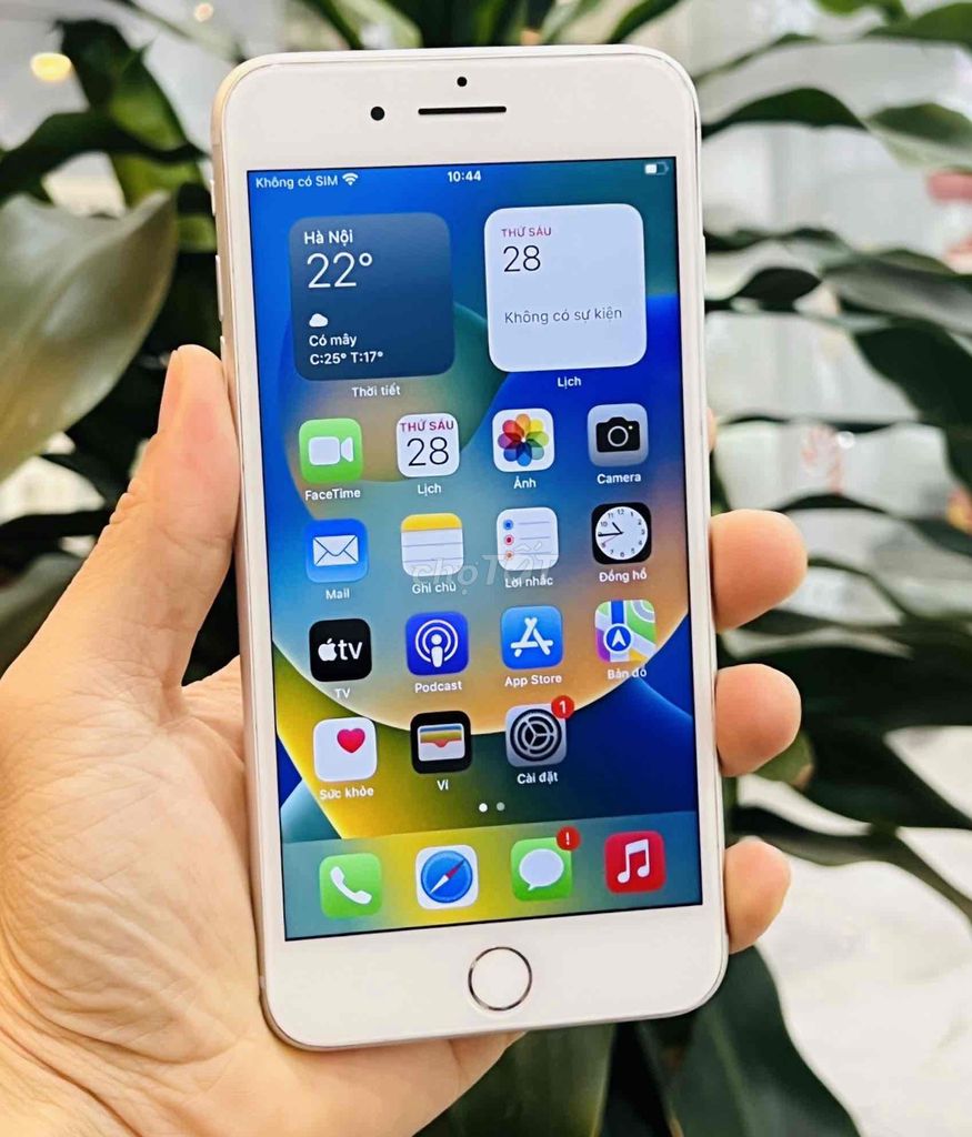 Iphone 8 Plus 64G Quốc Tế