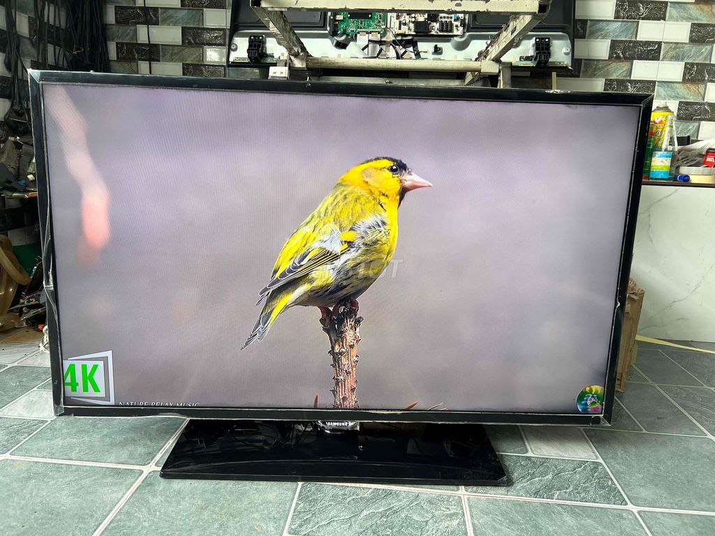 Tivi Samsung UA40F5000AR Đã sử dụng. Mua bán Tivi, Âm thanh tại Huyện Bình Chánh Tp Hồ Chí Minh được đăng bởi audio thanh hải hình 1