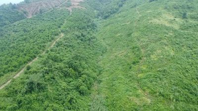 Bán 18 hecta đất trồng cây lâu năm tại huyện M'Drak, tỉnh Daklak. Mua bán đất tại Huyện M'Đrắk Đắk Lắk được đăng bởi Giang Nhật Duy