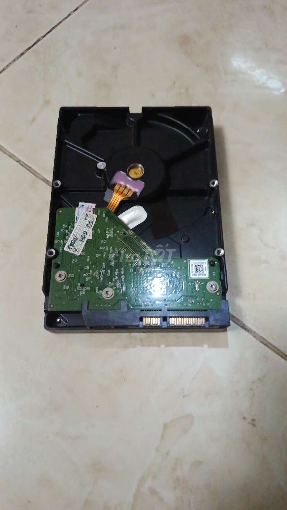 HDD WD WD5000AZLX 500GB SATA cũ ko rõ sk. Mua bán Linh kiện (RAM, Card...) tại Quận 5 Tp Hồ Chí Minh được đăng bởi do quang khang hình 1