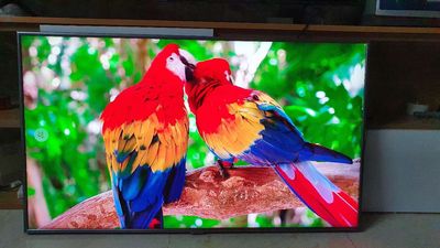 Thanh lý tivi smart 65 inh. Mua bán Tivi, Âm thanh tại Quận Hoàn Kiếm Hà Nội được đăng bởi Giang Linh