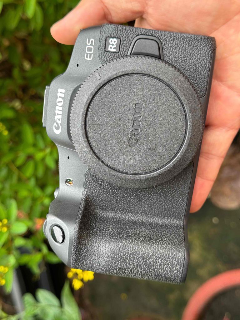 Máy ảnh Canon R8 Đen Đã sử dụng. Mua bán Máy ảnh, Máy quay tại Thành phố Bà Rịa Bà Rịa - Vũng Tàu được đăng bởi Dương hình 1