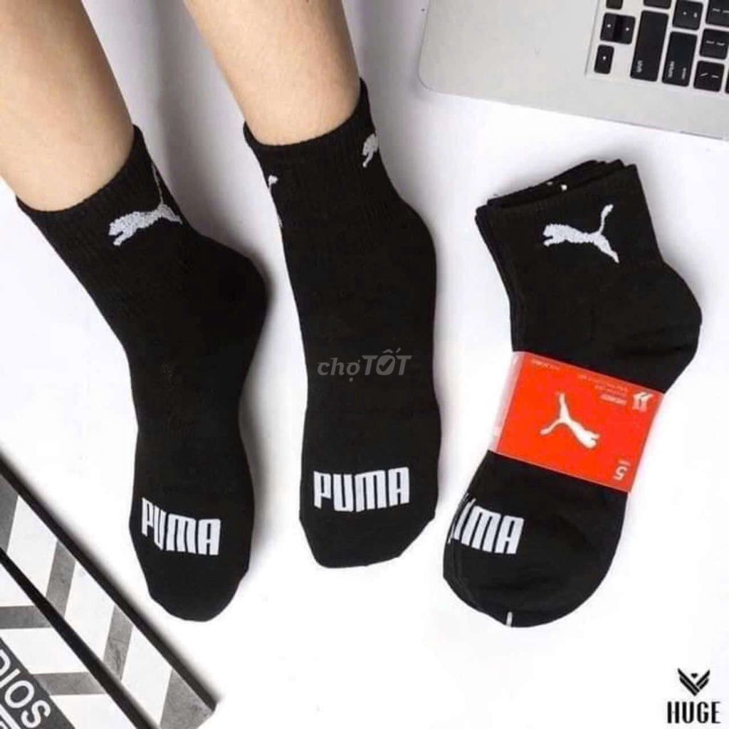 Tất puma