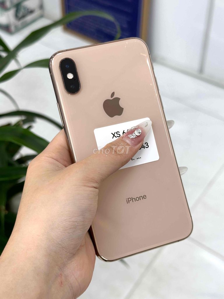 Xs góp bao đậu - Z phone