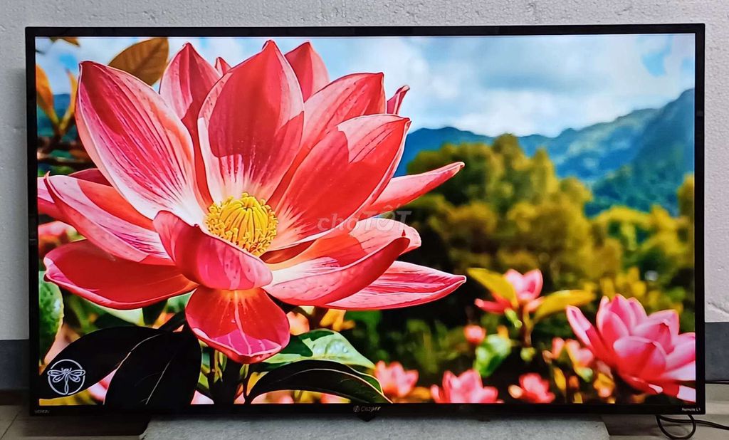 Tivi wifi 32 inch Casper đẹp, giọng nói, blutooth. Mua bán Tivi, Âm thanh tại Quận Ninh Kiều Cần Thơ được đăng bởi Luật Nguyễn hình 1