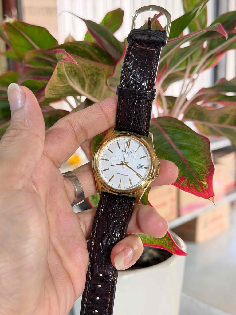 Đồng hồ Casio chính hãng dây da cá sấu. Mua bán Đồng hồ tại Huyện Châu Thành An Giang được đăng bởi HOANG ANH hình 1