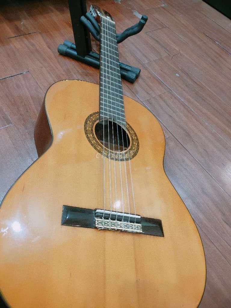 Guitar classic Nhật Suzuki N80