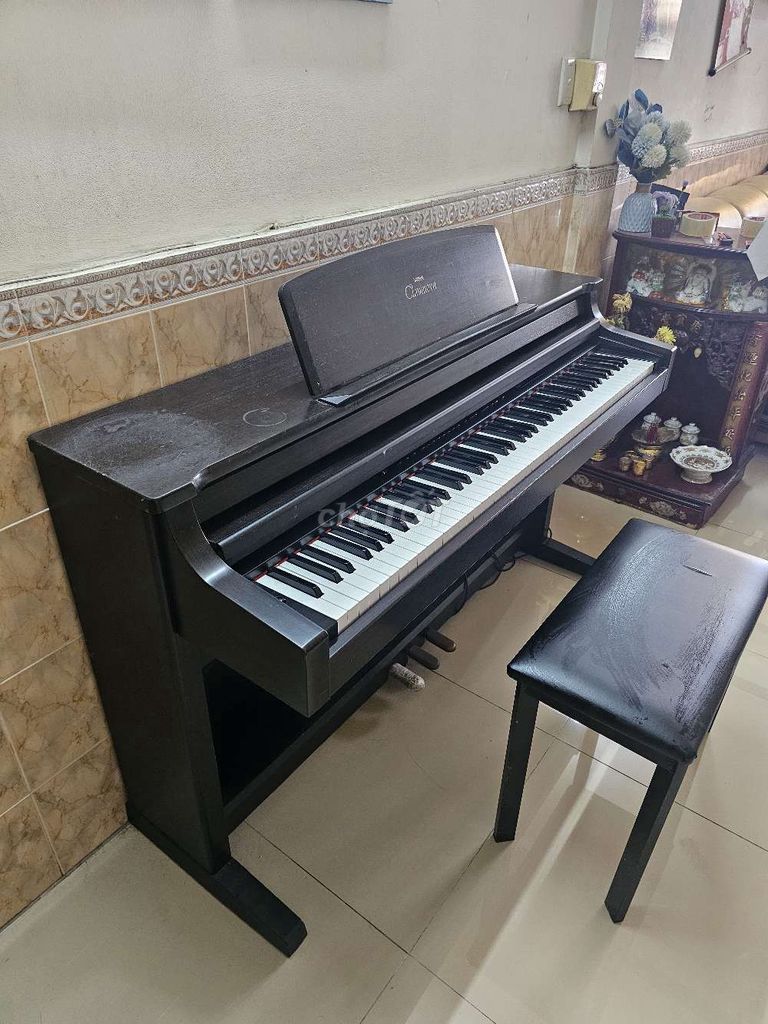 Đàn Piano YAMAHA CLP 560