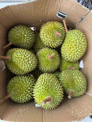 Sầu Riêng Ri 6 rụng Bình Phước giao BXMD or J&T. Mua bán Đồ ăn, thực phẩm và các loại khác tại Huyện Bù Đăng Bình Phước được đăng bởi Bảo Bảo