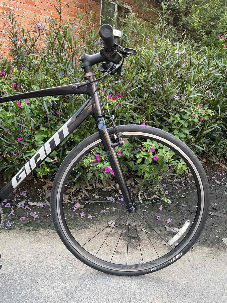 GIANT RX nội địa nhật. Mua bán Xe đạp tại Quận 12 Tp Hồ Chí Minh được đăng bởi  hồng nguyễn bike hình 4