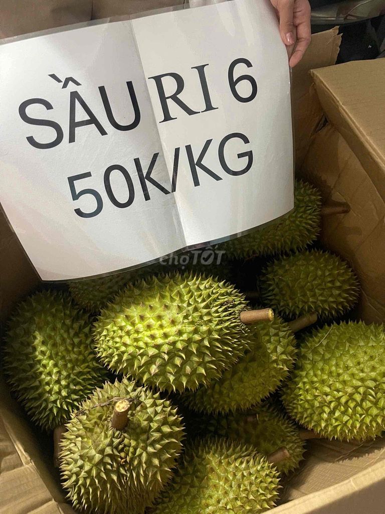 sầu riêng ri6 bao ăn 50k/1kg