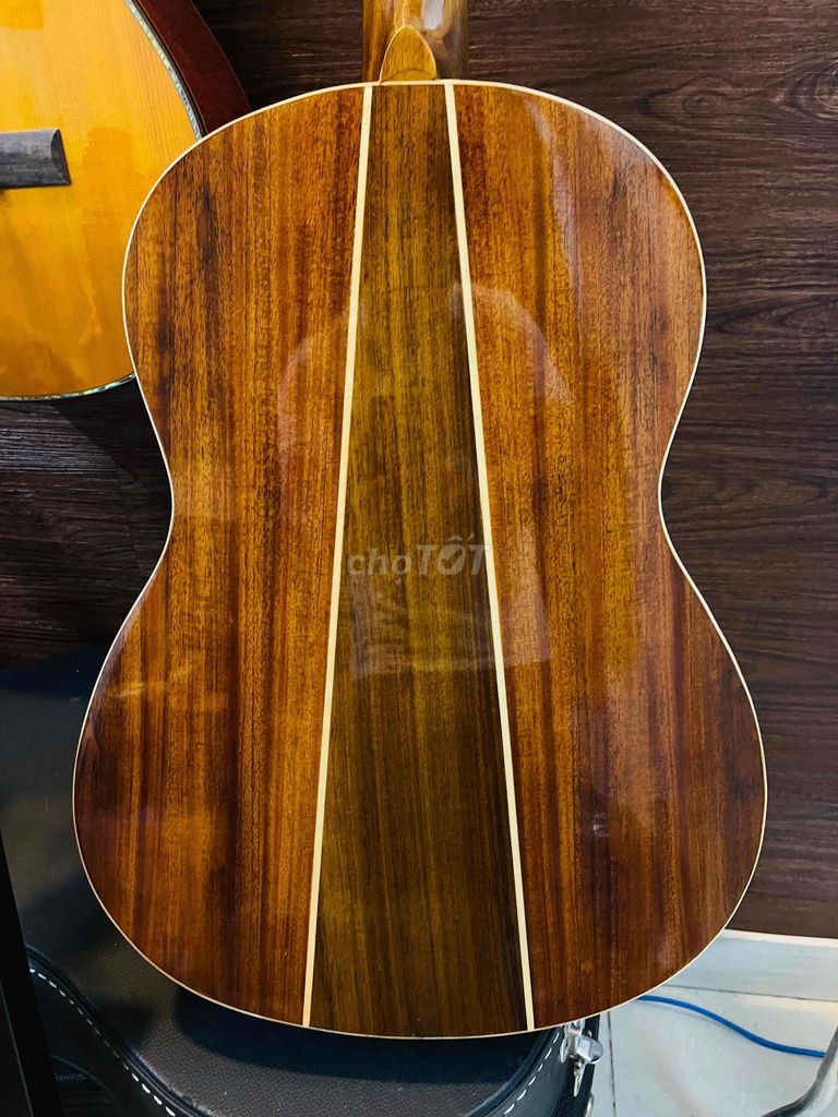 guitar classic Soul Sưa C100