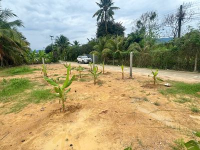 520 triệu sở hữu ngay 100m² thổ cư Suối Dầu!