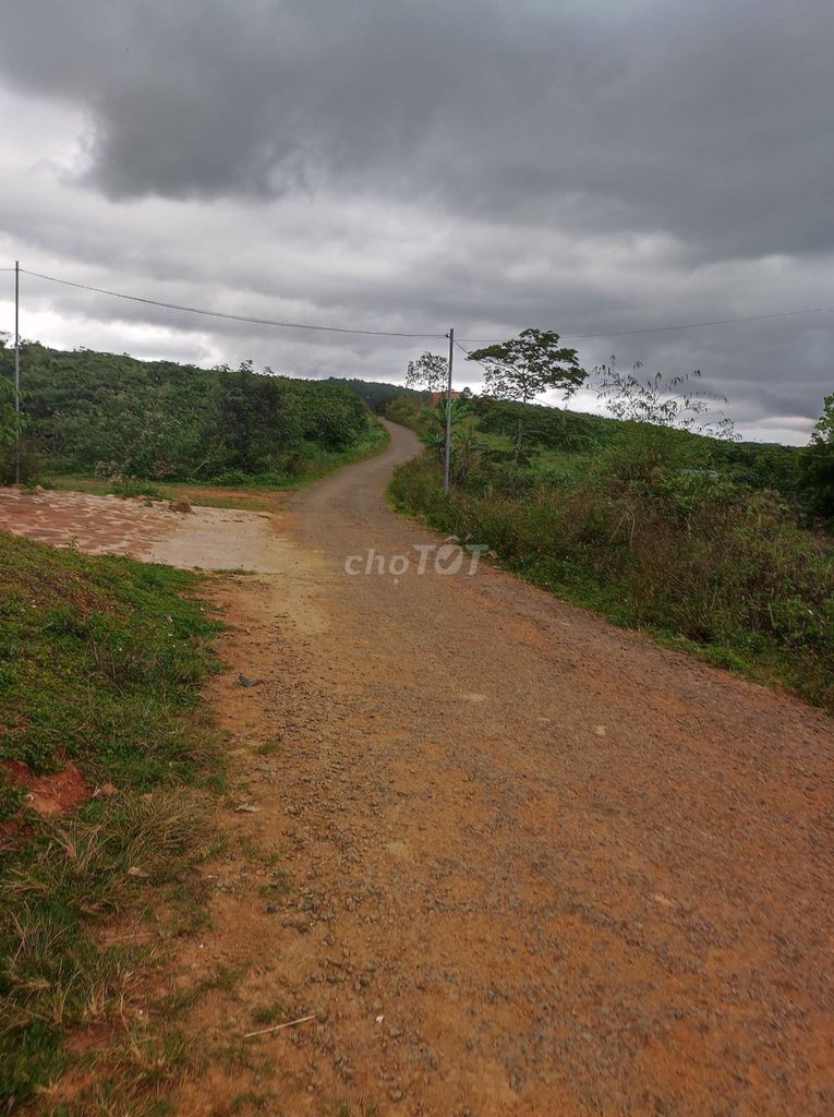 BÁN ĐẤT THỔ CƯ VIEW NGHĨ DƯỠNG TẠI DI LINH