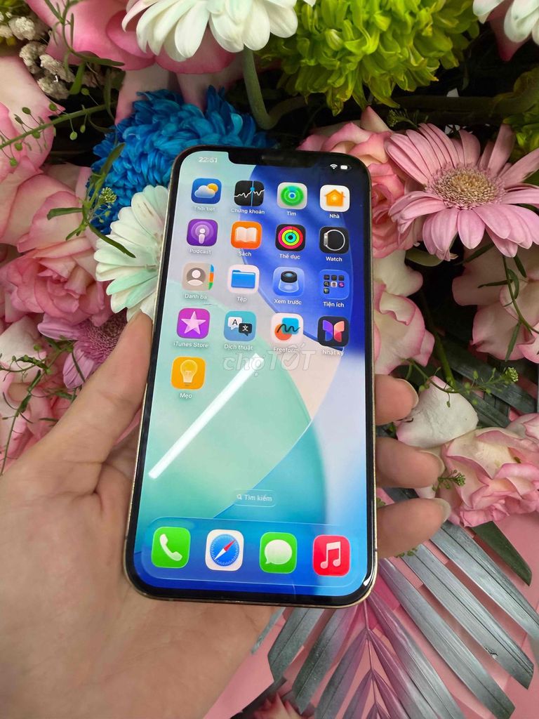 Apple iPhone 12 Pro Max 256GB Vàng zin all. Mua bán Điện thoại tại Quận Ninh Kiều Cần Thơ được đăng bởi everest hình 1