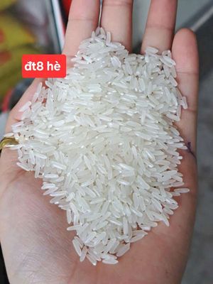 GẠO NGON-CƠM DẺO-HẠT TRẮNG TINH. Mua bán Đồ ăn, thực phẩm và các loại khác tại Thành phố Biên Hòa Đồng Nai được đăng bởi Thu Vân Rice 