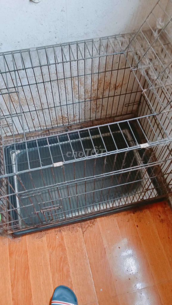 Mình có lồng chó cũ ko dùng đến kích thước 60x80cm