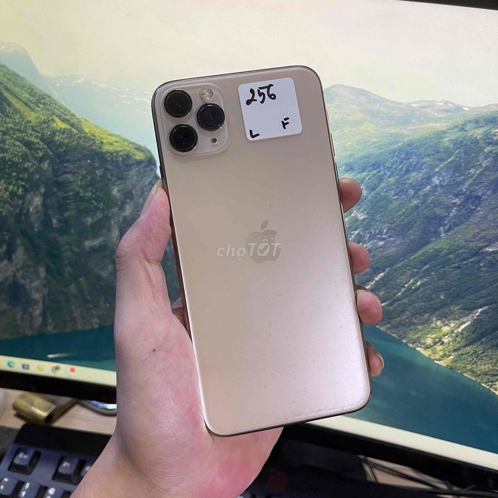 11 Pro Max 256GB Vàng qte. có góp. Mua bán Điện thoại tại Thành phố Biên Hòa Đồng Nai được đăng bởi Đạt mobile hình 1
