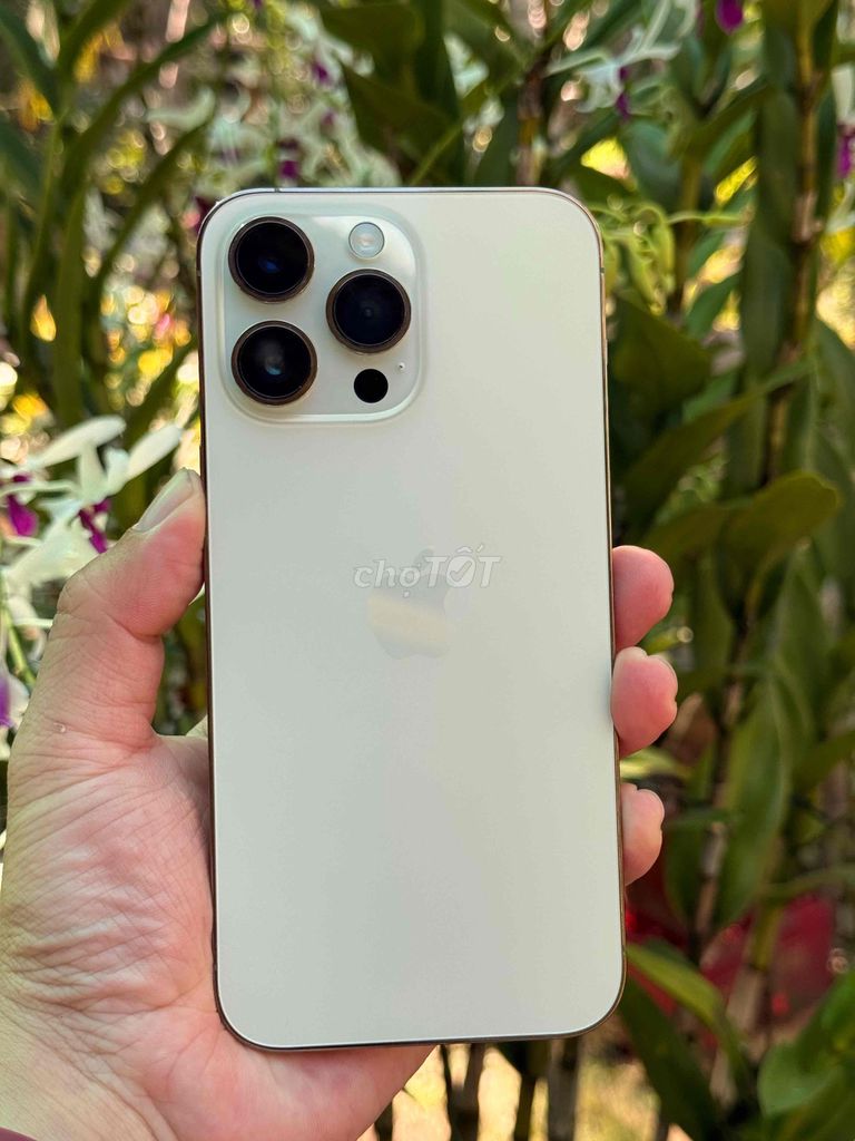iPhone 14 Pro Max 256GB Vàng Đã sử dụng. Mua bán Điện thoại tại Huyện Mỏ Cày Bắc Bến Tre được đăng bởi Hoàng Ân hình 1