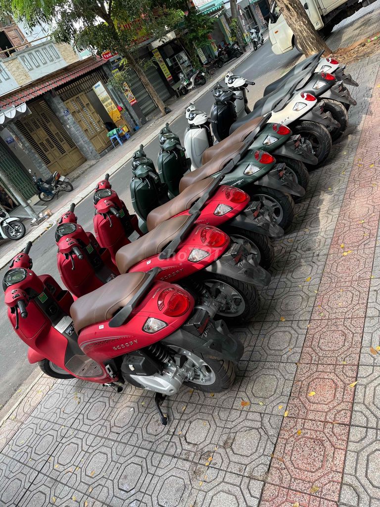 Scoopy 2025. Mua bán Xe máy tại Thành phố Vũng Tàu Bà Rịa - Vũng Tàu được đăng bởi Lê Hoàng hình 1
