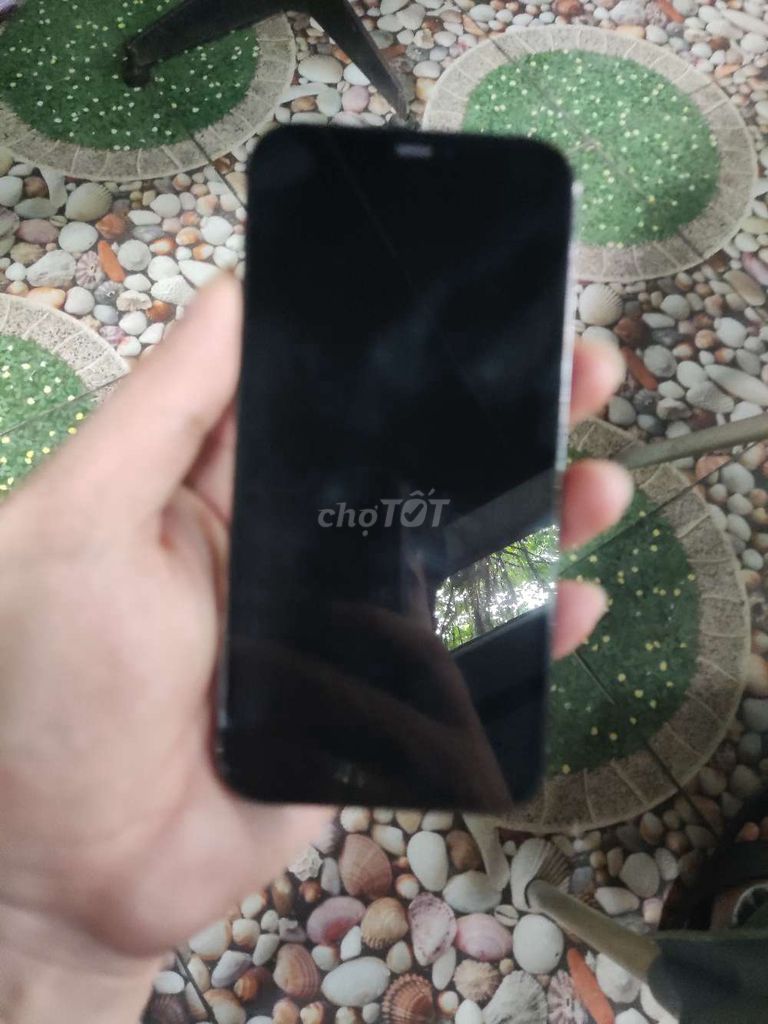 IPhone 12 Pro xanh 256gb quốc tế