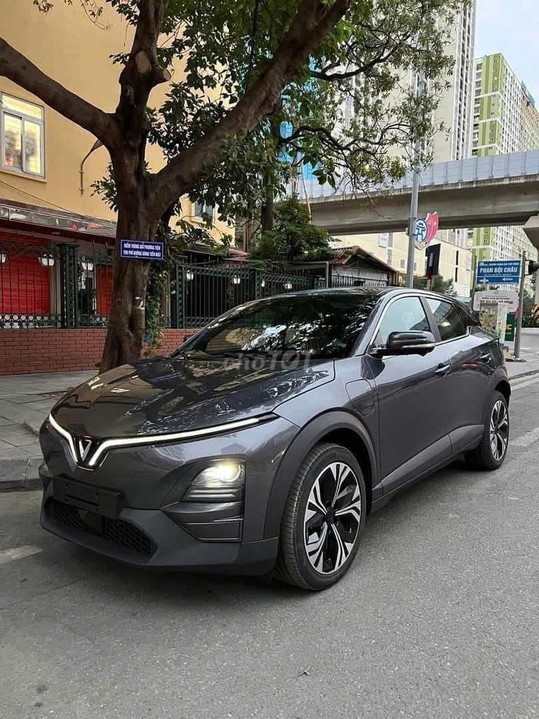 Ảnh số 5