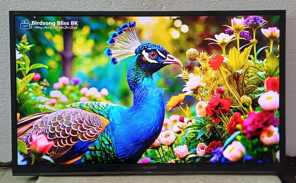 Tivi wifi Sony 40 inch zin đẹp, loa hay. Mua bán Tivi, Âm thanh tại Quận Ninh Kiều Cần Thơ được đăng bởi Luật Nguyễn hình 1