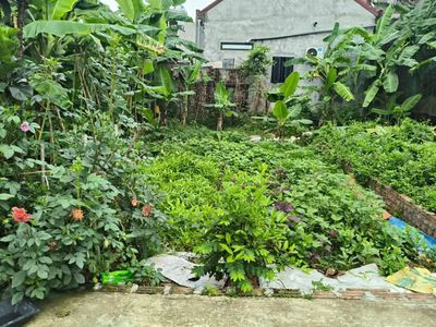 Bán đất Sóc Sơn Đa Phúc 80m2 full thổ cư, mặt tiền 7.4m, gần cao tốc