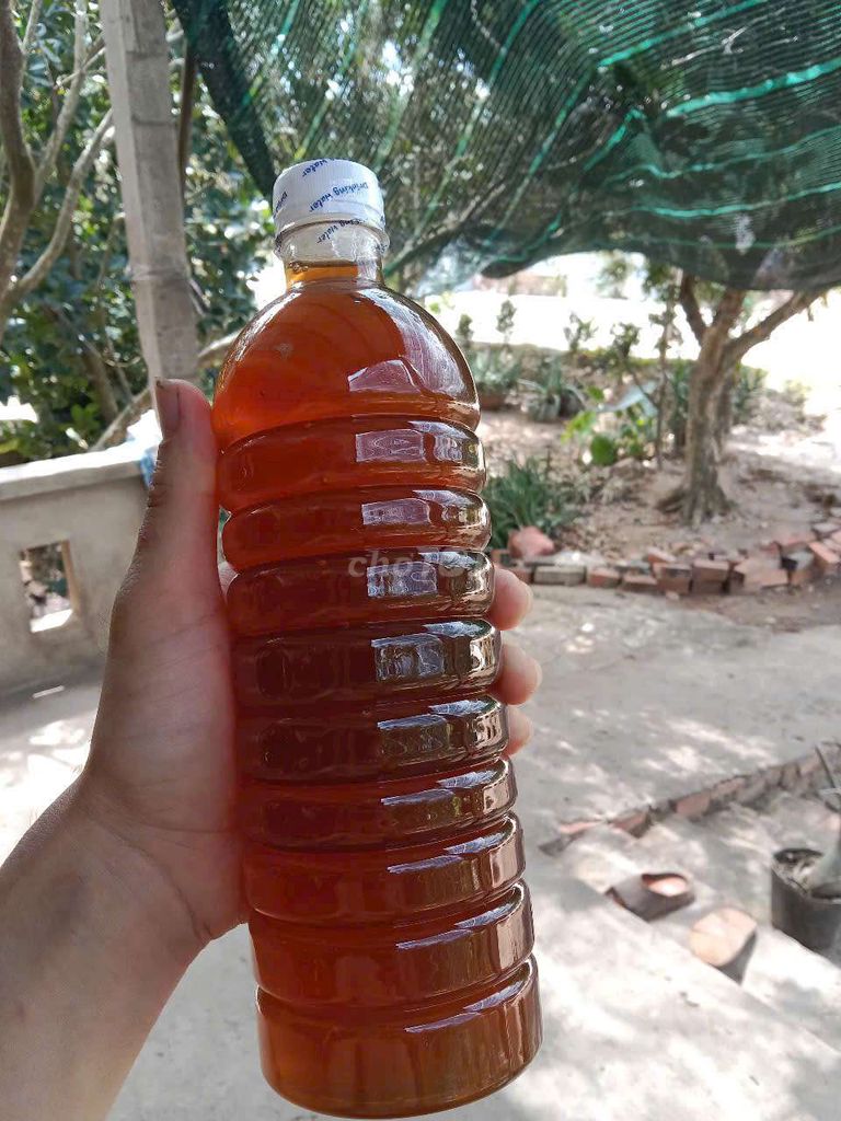 Mật ong hoa nhãn 1 lít. Mua bán Đồ ăn, thực phẩm và các loại khác tại Thành phố Bến Tre Bến Tre được đăng bởi bến tre quê tôi hình 1