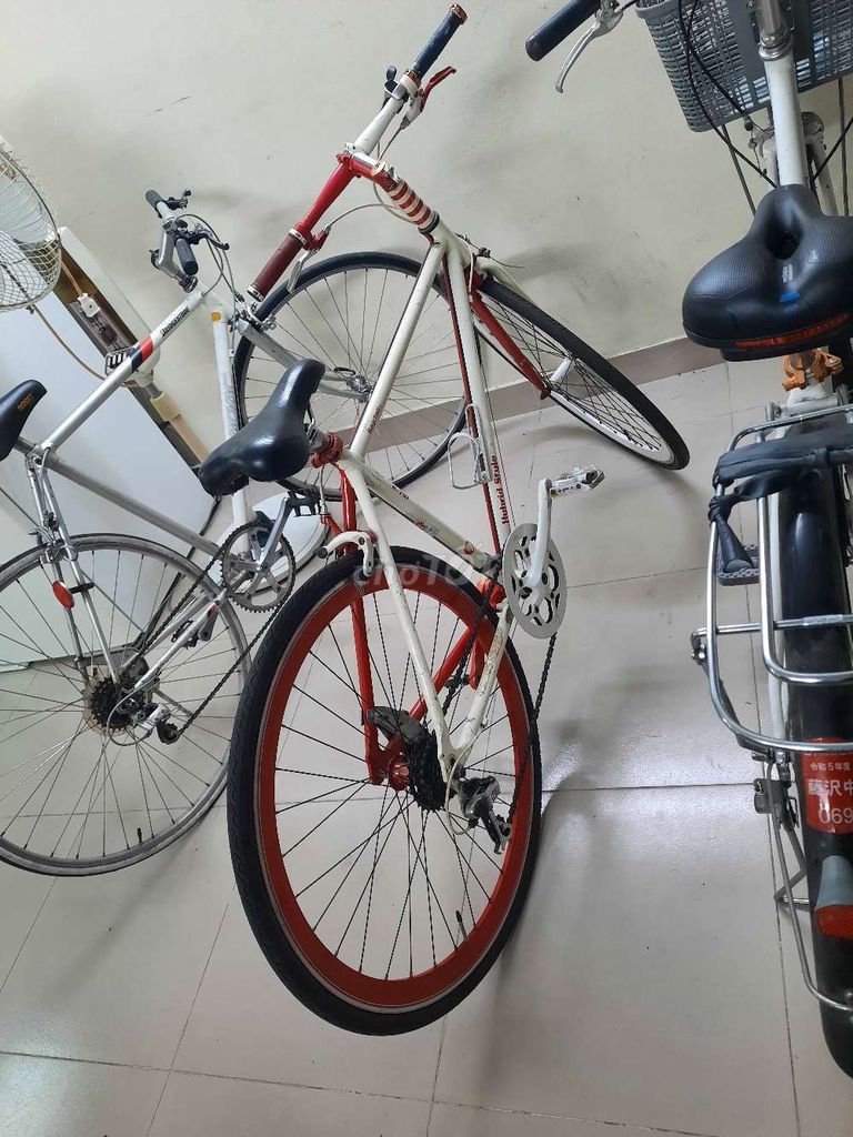 Xe đạp thể thao nhật, 3 số, full đồ nôc, nhôm đúc. Mua bán Xe đạp tại Quận Dương Kinh Hải Phòng được đăng bởi letan hình 2