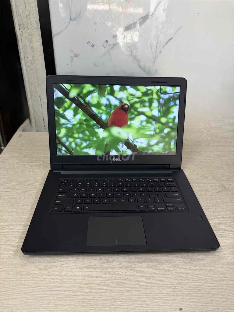 Dell Vostr***nch 8GB/256GB. Mua bán Laptop tại Quận Kiến An Hải Phòng được đăng bởi Phu Gia hình 1