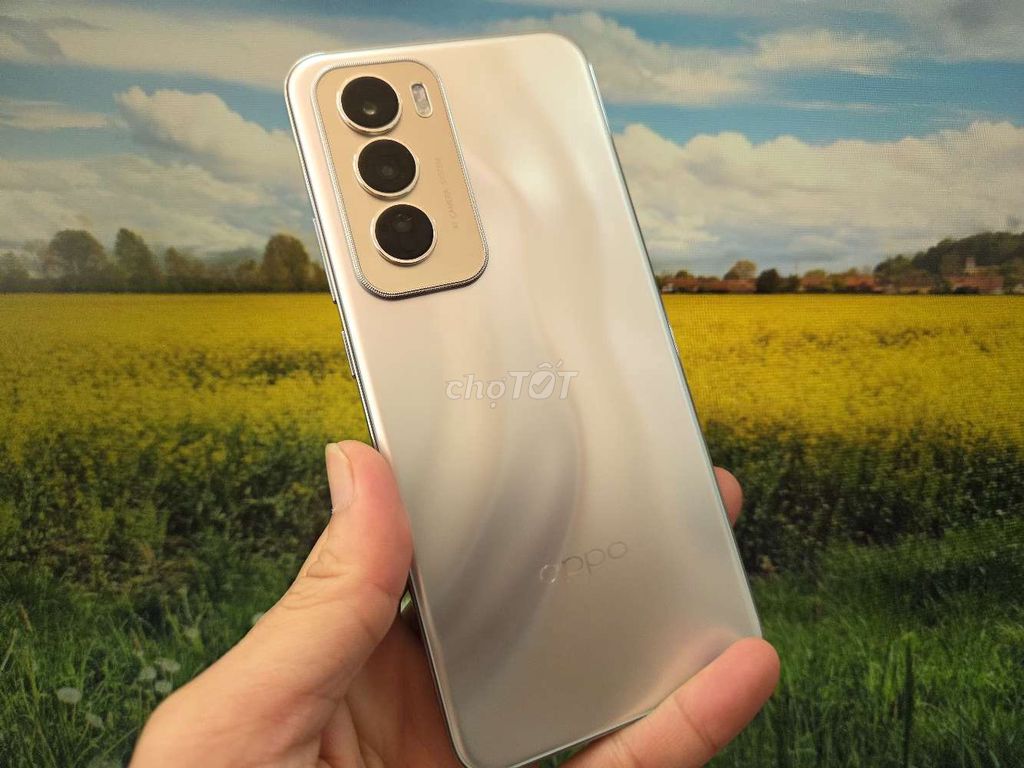 OPPO RENO 12 5G Ram 16Gb Full chức năng. Mua bán Điện thoại tại Quận 5 Tp Hồ Chí Minh được đăng bởi Androidgiare hình 1
