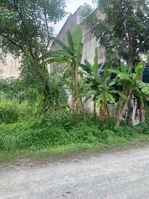 🟢 Bán đất nền 5 x 17-85m2 KDC GreenLife 13C sổ hồng CN xã Bình Hưng M