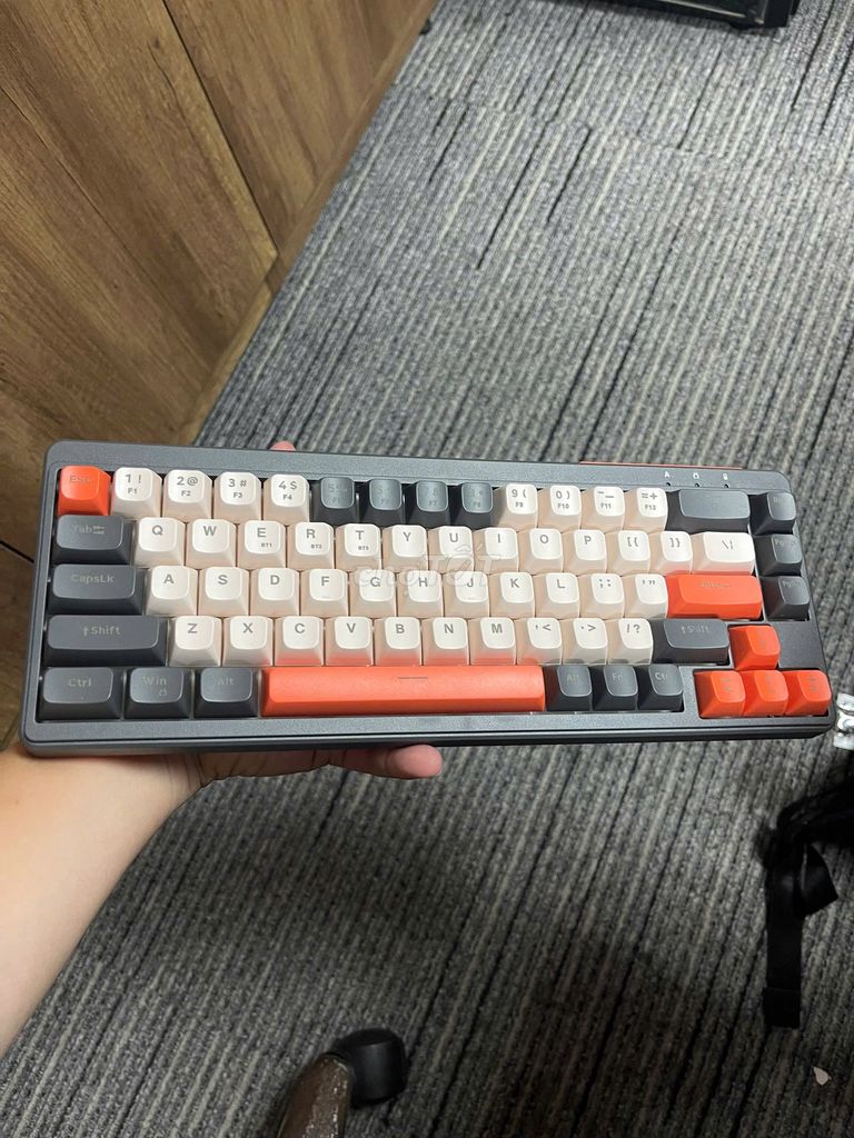 Bàn phím cơ Ziyou FreeWolf M68 PBT Đã sử dụng. Mua bán Phụ kiện (Màn hình, Chuột...) tại Quận Phú Nhuận Tp Hồ Chí Minh được đăng bởi Phan Trung Hiếu hình 1