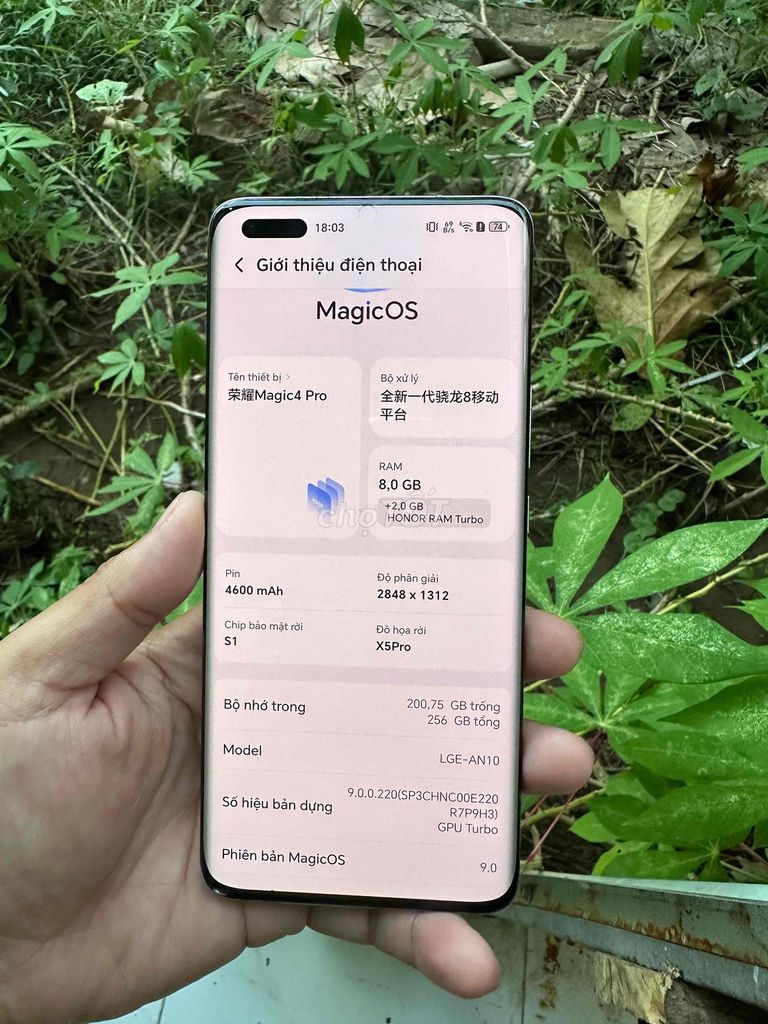 Honor Magic 4 Pro 256GB Xanh có giao lưu. Mua bán Điện thoại tại Huyện Phong Điền Cần Thơ được đăng bởi Tuấn hình 1