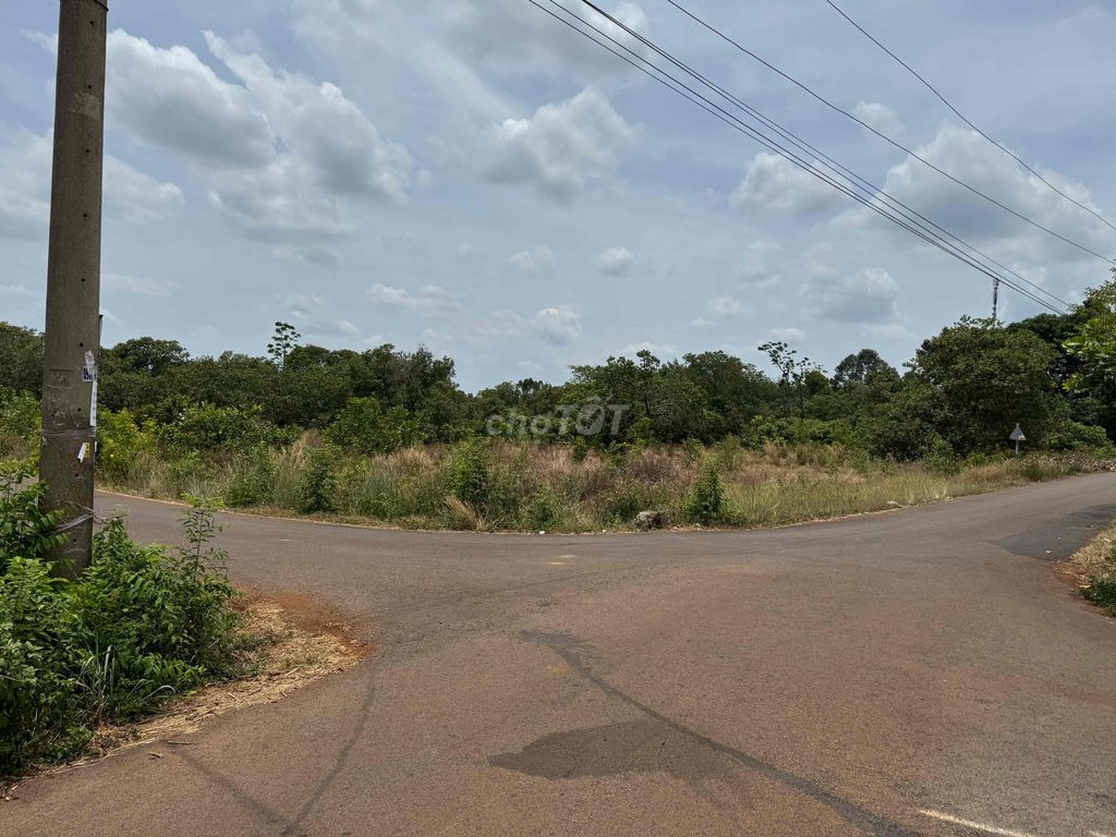 Đất thổ cư. ĐT: 20000m2, đất trồng cây khu dân cư, đường Lê Hồng Phong