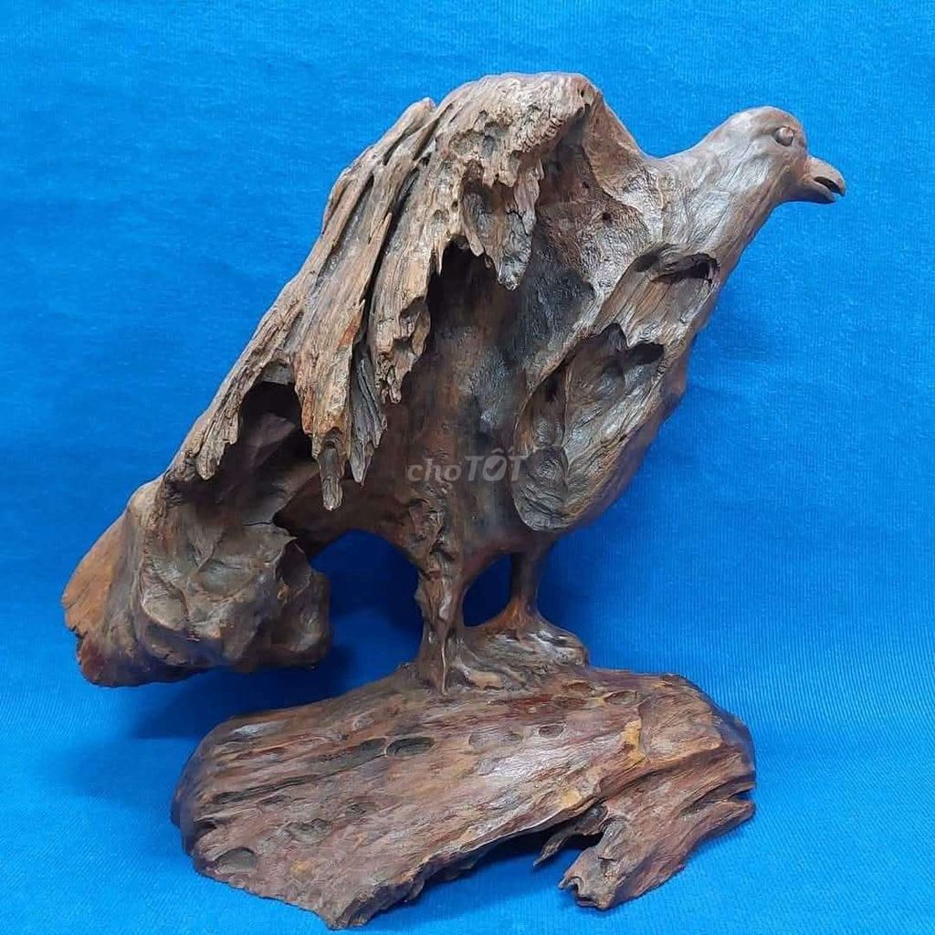 Tượng gỗ lũa hình chim đại bàng. Mua bán Đồ sưu tầm, đồ cổ tại Quận Đống Đa Hà Nội được đăng bởi Trần Xuân Dương hình 1