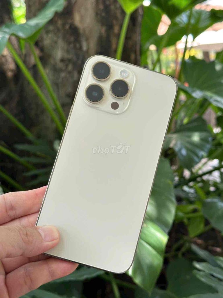 Apple iPhone 14 Pro Max 1TB Vàng Đã sử dụng. Mua bán Điện thoại tại Thành phố Thủ Đức Tp Hồ Chí Minh được đăng bởi S Apple hình 1