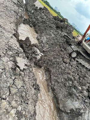 Bán Đất Phú Hữu ngay đường dẫn cầu Phú Mỹ 2 Đối diện Q7. Mua bán đất tại Huyện Nhơn Trạch Đồng Nai được đăng bởi bui thi nga