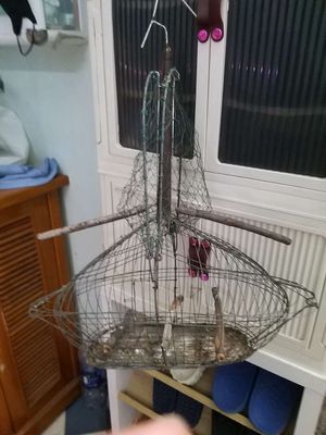 Lồng bẫy chim kim loại, gỗ màu xám. Mua bán Phụ kiện, Thức ăn, Dịch vụ tại Quận Thanh Khê Đà Nẵng được đăng bởi Hoa Dang